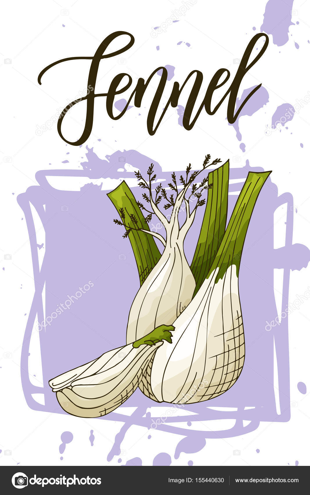 Fennel seed Vectors, Clipart & Illustrations for Free Download - illustAC