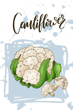 Renkli kroki sebze. Sağlıklı gıda poster. Çiftçiler tasarım carniflower ile Pazar. Vektör çizim