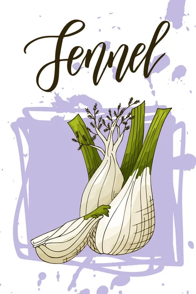 Banner de comida vegetal. Esbozo de hinojo. Cartel de alimentos orgánicos. Ilustración vectorial — Archivo Imágenes Vectoriales