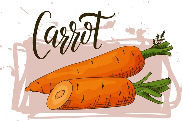 Colorido boceto vegetal. Cartel de comida saludable. Diseño de mercado de agricultores con zanahoria. Ilustración vectorial — Archivo Imágenes Vectoriales