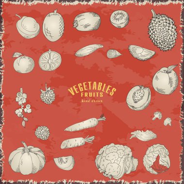 Elle çizilmiş sebze ve meyve. Vektör doğal gıda taze koleksiyonu. Kroki çizim