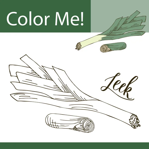 Εκπαίδευση χρωματισμό σελίδα με λαχανικά. Χέρι διανυσματικά εικονογράφηση πράσου. — Διανυσματικό Αρχείο