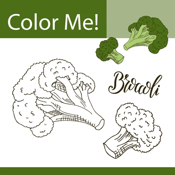 Buku mewarnai atau halaman sayuran. Ilustrasi vektor dengan brokoli gambar tangan . - Stok Vektor