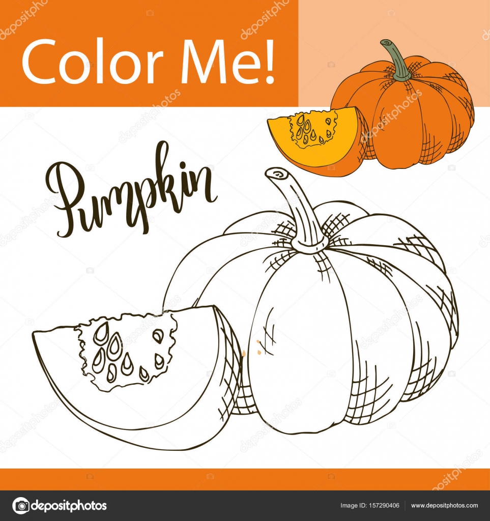 Coloring Book Or Page Of Vegetable Vector Illustration With Hand Drawn Pumpkin Vector Image By C Astarte7893 Vector Stock 157290406