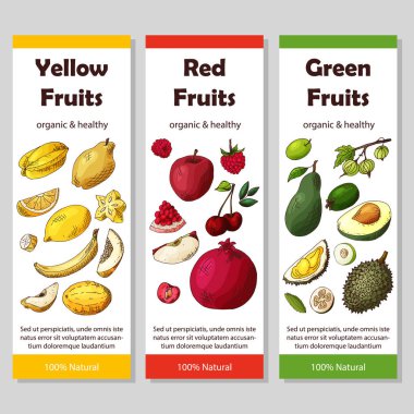 Organik meyve kart dizisini. Elle çizilmiş kroki öğeleri. Afiş koleksiyonu şablonu. Çiftlik şirket. Vektör çizim poster için