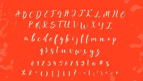 Векторный алфавит. Каллиграфические письма для Вашего дизайна — стоковый вектор