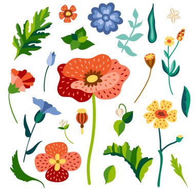 Düzleştirilmiş bir demet yabani çiçek. Renkli çayır otları çizimi. Botanik kır çiçekleri ve arka planda izole edilmiş yapraklar. Vektör el çizimi çizimi