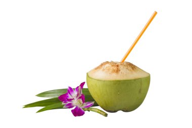 Geçmişi temiz olan izole Hindistan cevizi