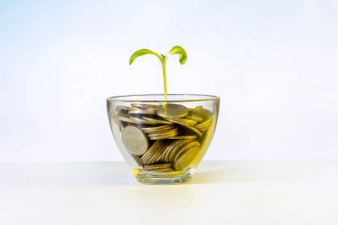 Ot ve ağaç yatırım kavramında sikke