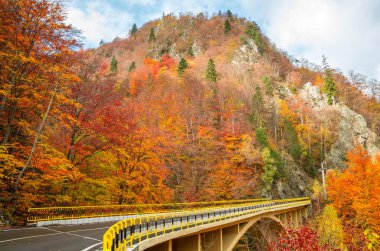 Dağda sonbahar manzara.
