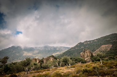 Crete island, Yunanistan.