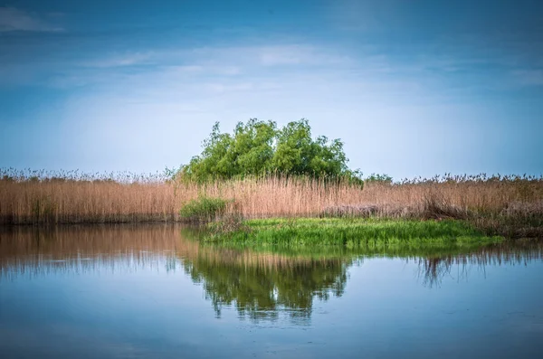 Delta Dunaju w Okręg Tulcza, Rumunia. — Zdjęcie stockowe