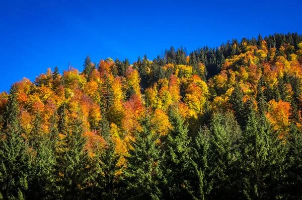 Jesienny krajobraz w górach — Zdjęcie stockowe
