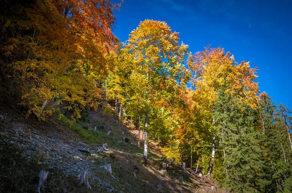 Autumn landscape at the mountain — Stock Photo, Image