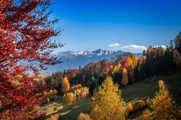 在山的秋景 — 图库照片