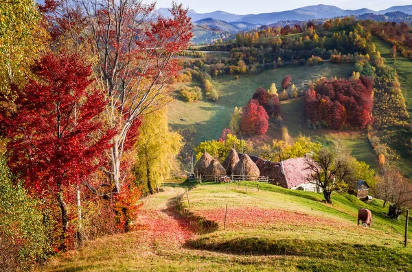 Paisagem de outono na montanha — Fotografia de Stock