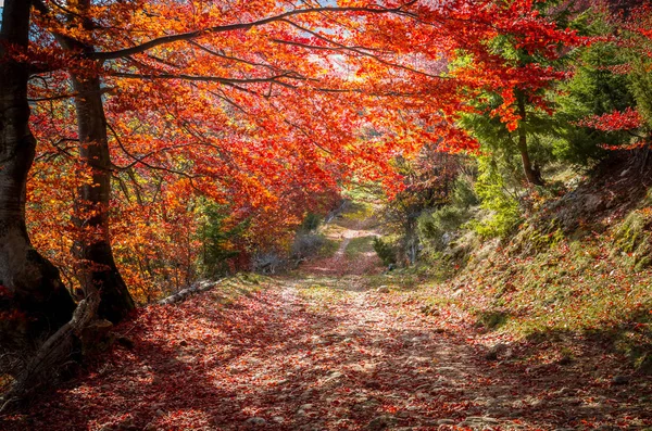 在山的秋景 — 图库照片