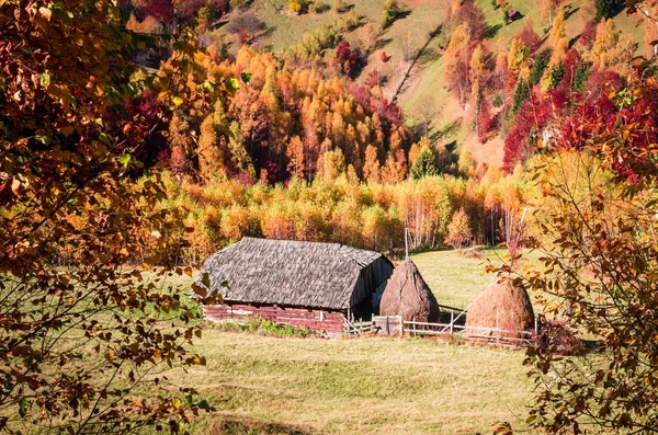 Осінній пейзаж у Карпатах — стокове фото