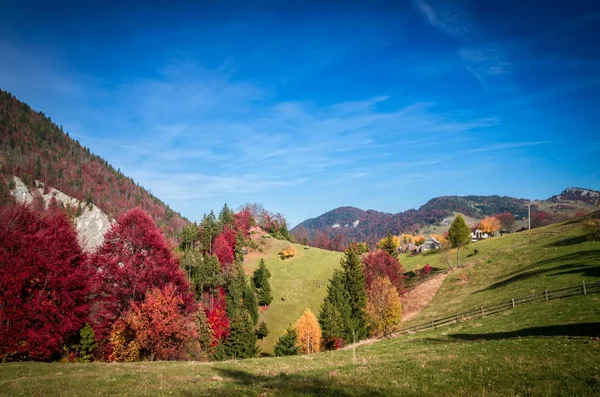 Autumn landscape in Carpathian mountains — Stock Photo, Image