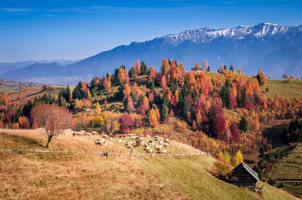 Осінній пейзаж у Карпатах — стокове фото