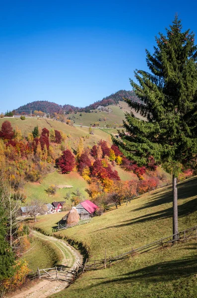 在喀尔巴阡山的秋景 — 图库照片