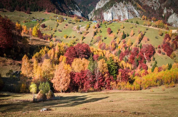 山中的秋天风景 — 图库照片