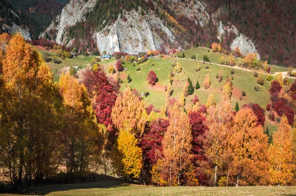 山中的秋天风景 — 图库照片