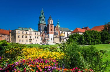 Wawel Ortaçağ Kalesi Krakow, Polonya