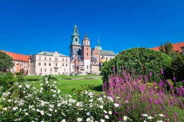 Wawel Ortaçağ Kalesi Krakow, Polonya
