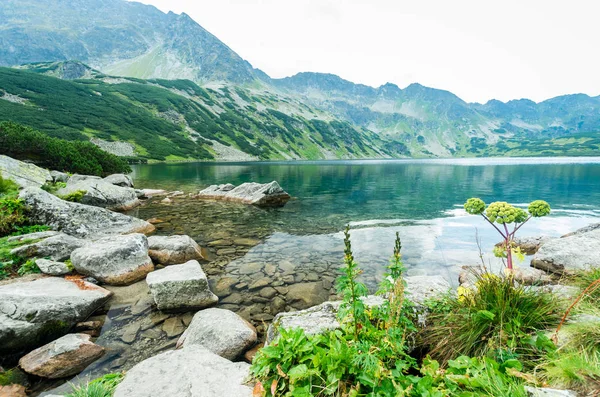 5 lakes valley in Tatra Mountains, Poland. — Stock Photo, Image