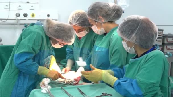 Baku, Azerbaijan-February 2016. Surgical team performing surgery operation, cesarean section. Caesarean section, c-section. Gynecologists and midwifes giving birth. Maternity ward. Infant in maternity hospital — Stock Video