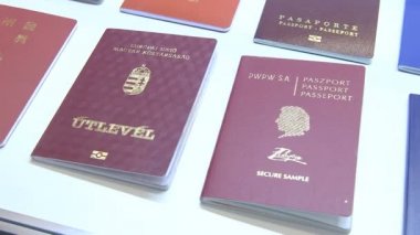 Farklı ülkelerin Pasaportlar.