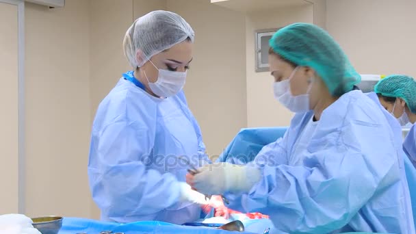 Kirurgiska team utför operation operation. — Stockvideo