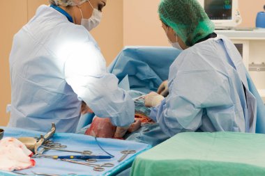 Ameliyat ekibi cerrahi işlemi gerçekleştirerek. Doktor performans s