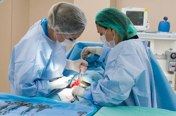 Ameliyat ekibi cerrahi işlemi gerçekleştirerek. Doktor performans s
