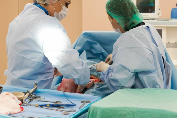 Ameliyat ekibi cerrahi işlemi gerçekleştirerek. Doktor performans s — Stok fotoğraf