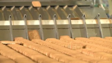 Satır gıda fabrikasında üretim üzerinde pasta fırını. Tanımlama bilgilerini konveyör