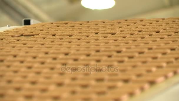 Boulangerie pâtissière sur la ligne de fabrication à l'usine alimentaire. Convoyeur à cookies — Video