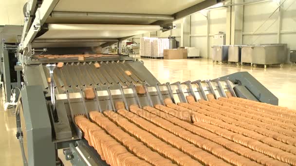 Pastelería en línea de fabricación en la fábrica de alimentos. Transportador de galletas — Vídeo de stock