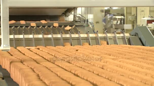 Pastelería en línea de fabricación en la fábrica de alimentos. Transportador de galletas — Vídeos de Stock