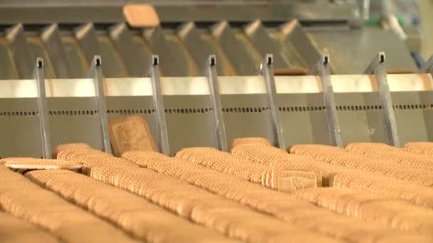 Pastry bakery on manufacturing line at food factory. Cookies conveyor — Stock Video