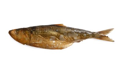 füme balık üzerinde beyaz izole