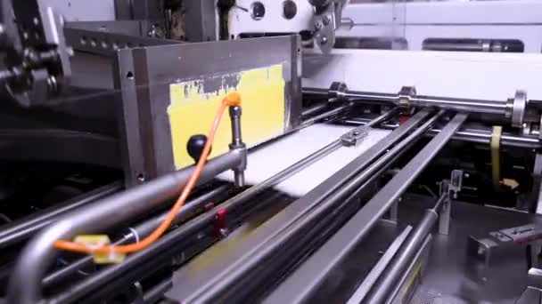 Butterfabrik Automatisierte Linienverpackung Butterverpackungsmaschine — Stockvideo