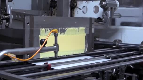 Butterfabrik Automatisierte Linienverpackung Butterverpackungsmaschine — Stockvideo