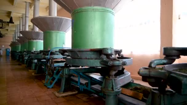 茶厂用老式研磨机研磨茶叶 — 图库视频影像