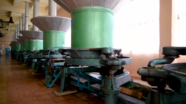 Grinding tea leaves with a vintage grinder at tea factory — Stock Footage Grinding Tea Leaves Vintage Grinder Tea Factory Royalty Free Stock Video