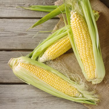 Olgun sarı mısır üzerinde tutuyordu. Ahşap arka plan