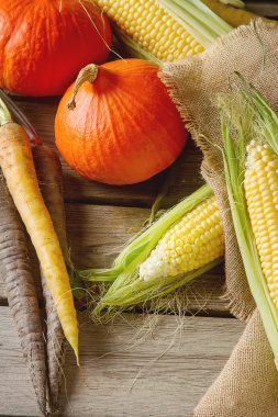 Olgun sarı mısır ve bir kabak havuç çul üzerinde renkli. Woo