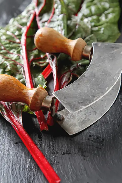 Acelga arco iris suizo, vegetal vibrante. Puesta plana, cuchillo de abo —  Fotos de Stock