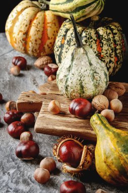Cadılar Bayramı için dekorasyon. Küçük çoğu kabak kestane ile ve 